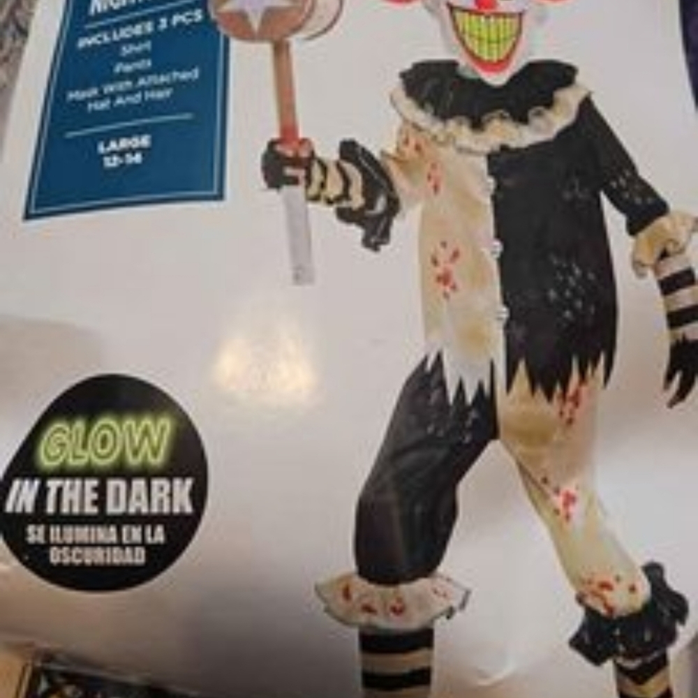 Carnival clown costume